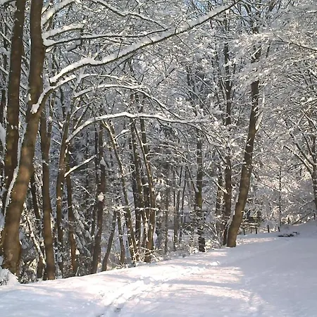 Gasthof Padberg Winterberg